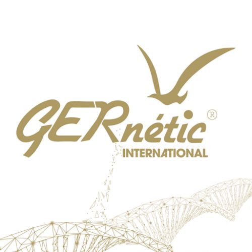 GERNETIC