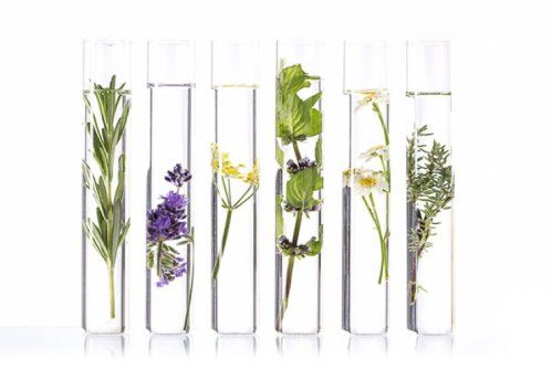 FYTOFONTANA COSMECEUTICA FYTOFONTANA COSMECEUTICA